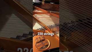 Piano strings shorts [upl. by Gerrard699]