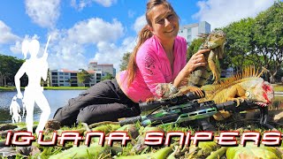 Iguana Snipers takes 24 invasive iguanas with a pellet gun 137 [upl. by Bartholomew930]