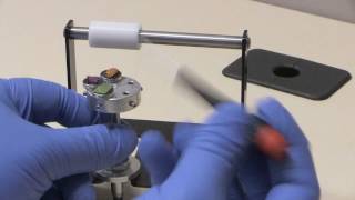 Preparing a Sample for Electron Microscopy [upl. by Zurc]