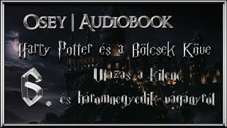 Harry Potter és a Bölcsek Köve hangoskönyv  6 fejezet [upl. by Ellerrehc]