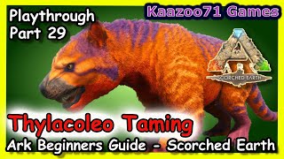 Thylacoleo Taming Ark Scorched Earth 💥  EP 29 [upl. by Notnilc]