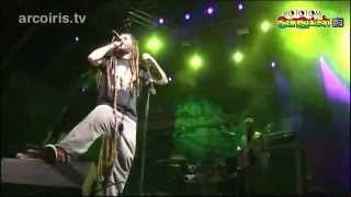 Alborosie Live  FULL CONCERT 2012 [upl. by Windham]