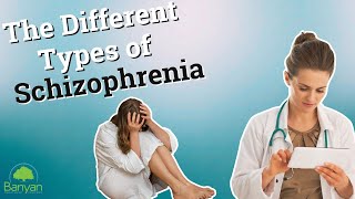 The Different Types of Schizophrenia [upl. by Hairaza837]