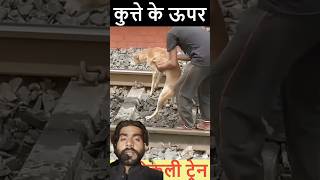 Baap Ry Baap Kutta Baal Baal Bach Gya😢🐶Trains🚃🛤️ shorts dogs dog puppy train bw accident [upl. by Elitnahc]