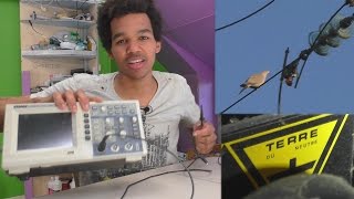 Risque de choc électrique oiseaux sur fils  ► Explications amp transformateur disolement [upl. by Rabush]