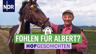 Tierarzt bei Alberts Pferden  Hofgeschichten 151  NDR auf’m Land [upl. by Atival644]