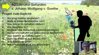 A2 Fragen zum Verständnis Deutsche Lit Goethe Gefunden [upl. by Ten]