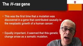 24 Discovery of the Hras gene [upl. by Wayland]