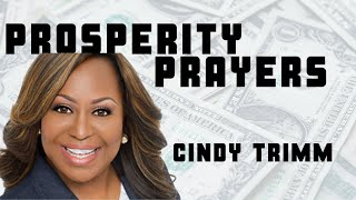 Prosperity Prayer With Dr Cindy Trimm [upl. by Legnaesoj983]