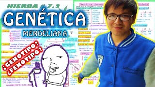 BIOLOGÍA FREE   GENETICA I  LEYES DE MENDEL 👉😍🌿 [upl. by Karlie]