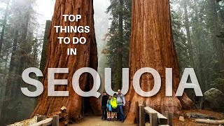 Top 10 Things To Do In Sequoia National Park California [upl. by Didier930]