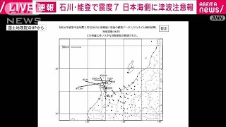 石川県「輪島」で約13m西に動く大きな地殻変動 電子基準点のデータ解析 国土地理院2024年1月2日 [upl. by Sivehc868]