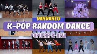 MIRRORED KPOP RANDOM DANCE  POPULAR amp NEW [upl. by Yseulta895]