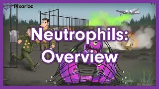 Neutrophils Mnemonic for USMLE [upl. by Nedmac146]