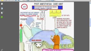 SESSIONS for NURSES 39 MASLOWS [upl. by Rentsch]