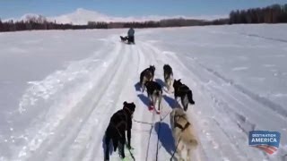 Ride Along with Alaskan Dog Mushers  Buying Alaska [upl. by Eldon207]