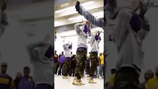 Lambda Psi chapter of Omega Psi Phi at Livingstone College Spring 24 🐶🟣🟡 [upl. by Dorraj]