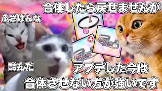 ラブライブの理不尽なソシャゲのアプデ【猫ミーム】猫マニ 猫ミーム [upl. by Letty274]