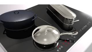 De Dietrich Double Continuum Induction Hob [upl. by Courtnay]