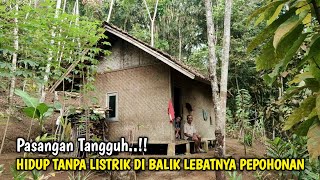 Tangguh  Puluhan Tahun Sepasang Lansia Tinggal Di Gubuk Kecil Tanpa Listik Pinggir Hutan [upl. by Joses806]