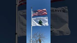 An Appeal to Heaven flag 1775 americanrevolution usa america revolutionarywar us maga trump [upl. by Alduino]