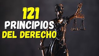 ⏳121 Principios Generales del Derecho ⚖️ [upl. by Pelpel904]