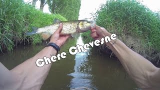 Chère Chevesne  Peche au Leurre  HD [upl. by Hodgkinson419]