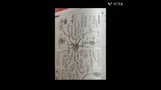 Oswaal BIOLOGY Class 12 Book Review [upl. by Anala32]