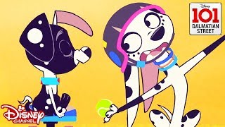 Yoga Pups 🧘🏽‍♀️ 101 Dalmatian Street  Disney Channel Africa [upl. by Lolanthe]