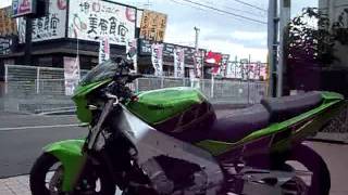 すごいカスタム YZF1000R ThunderAce ヤマハ サンダーエース YAMAHA [upl. by Erbe]