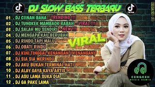 DJ SLOW FULL BASS TERBARU 2024 🌾DJ CIINAN BANA • DJ SALAHMU SENDIRI • VIRAL [upl. by Akiner]