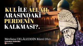 Kul ile Allah Arasındaki Perdenin Kalkması  Mevlana Celaleddin Rumi Sesli Kitap [upl. by Adnwahsor]