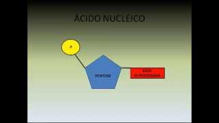 Biossíntese de Ácidos Nucléicos  Bioquímica [upl. by Skillern]