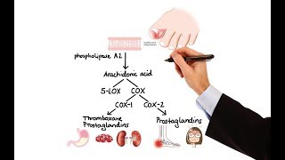 Pharmacology  NSAIDs amp PROSTAGLANDIN ANALOGS MADE EASY [upl. by Tova]