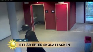 Ett år efter skolattacken  Nyhetsmorgon TV4 [upl. by Okir653]