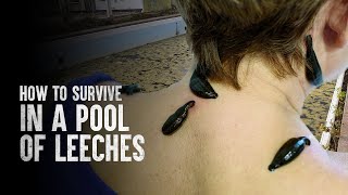 How to Survive a Pool of Leeches [upl. by Pry680]