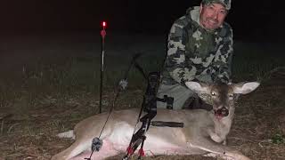 Bowhunting Deer with Recurve Bow Using a Bow Sight [upl. by Noillimaxam]