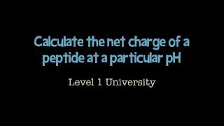 Calculate the net charge of a peptide [upl. by Asilak]