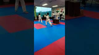 Pumse 3 taekwondo tkd shortvideo anu [upl. by Spike]