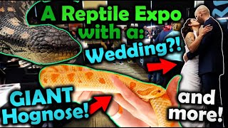 Attending the Most Epic Tinley Reptile Show Ever [upl. by Indyc]