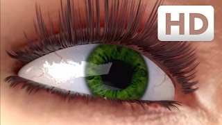 How eyelashes grow  Nanolash® eyelash serum Explainer Video [upl. by Lemrahc976]