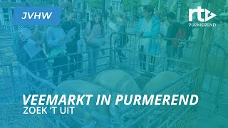 Veemarkt in Purmerend  Zoek T Uit [upl. by Stannfield]