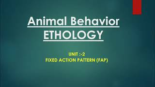 Animal Behavior  Fixed Action Pattern  FAP  Fifth Semester Zoology Hons [upl. by Windsor]