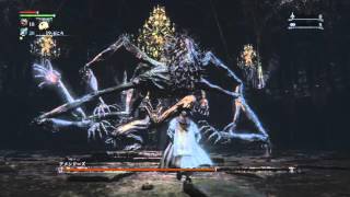 ブラッドボーン 【冒涜アメンボ】冒涜アメンドーズ レベル4攻略 Bloodborne Amygdala Defiled Chalice Level 4 [upl. by Seraphim537]