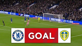 GOAL  Mateo Joseph  Chelsea 01 Leeds United  Fifth Round  Emirates FA Cup 202324 [upl. by Stevena]