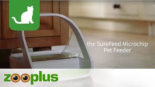 SureFeed Microchip Pet Feeder  zoopluscouk [upl. by Olivero]