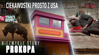 CIEKAWOSTKI z USA ⭐🦅  Niezwykłe Stany Prokopa [upl. by Cordier409]