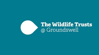 The Wildlife Trusts  Groundswell  In Conversation with Jake Fiennes [upl. by Japha]