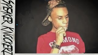 The REAL Speaker Knockerz Story Documentary [upl. by Icnan545]