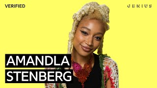 Amandla Stenberg “The Anonymous Ones” Official Lyrics amp Meaning  Verified [upl. by Creath]